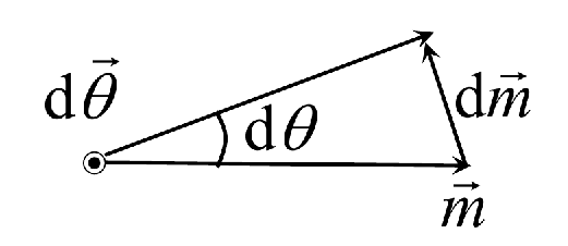 image-20241116163317898